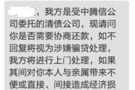 琼海为什么选择专业追讨公司来处理您的债务纠纷？